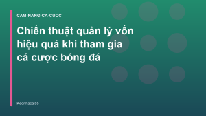 Read more about the article Chiến thuật quản lý vốn hiệu quả khi tham gia cá cược bóng đá